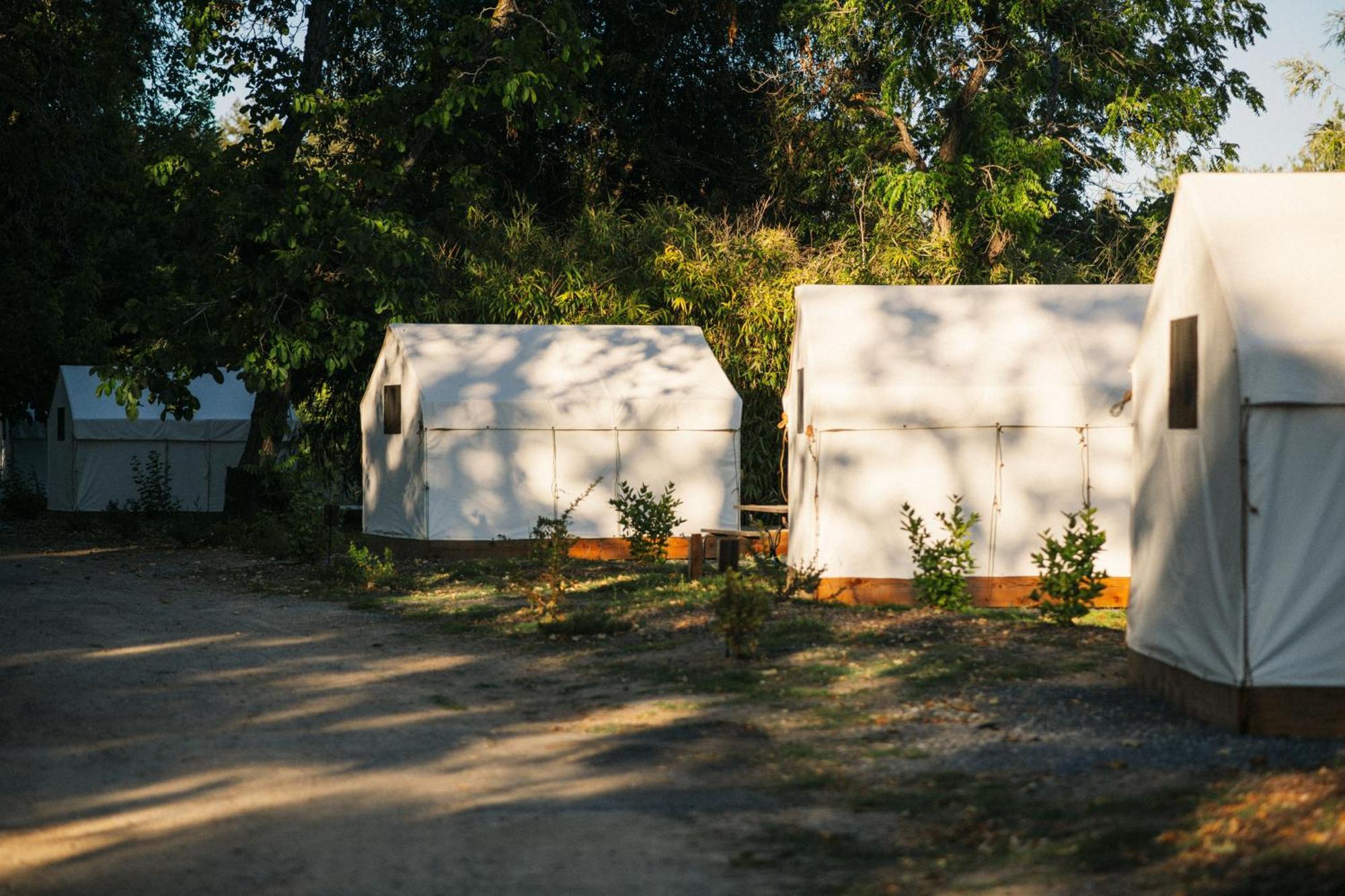 Johnson'S Beach Cabins And Campground เกอร์นวิลล์ ภายนอก รูปภาพ